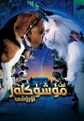 ئىت-مۈشۈكلەر ئۇرۇشى