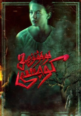 ۋەھىمە كوچىسى 3-بۆلۈم