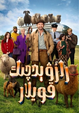 رازۋېدچىك قويلار